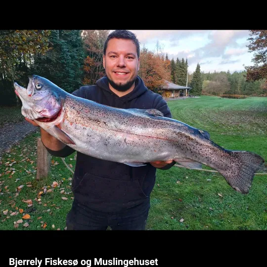 Trout Fisher Germany