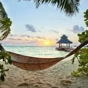 Places To Visit