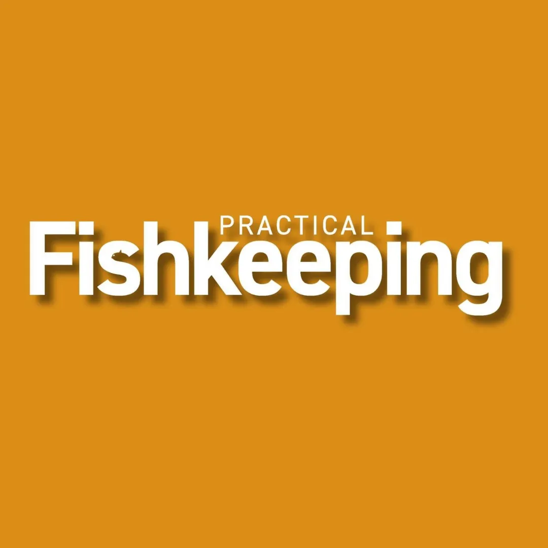 Practical Fishkeeping