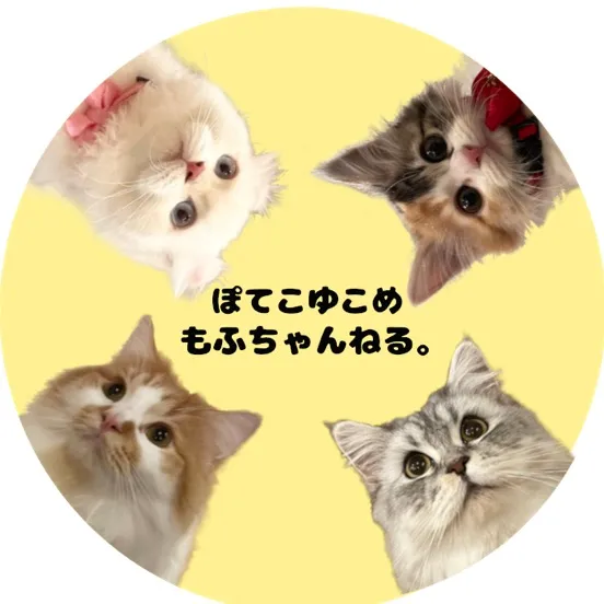 ぽてこゆこめ/もふちゃんねる。