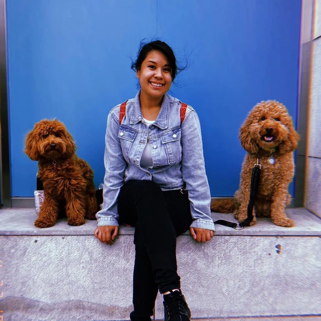 PupScouts Dog Training