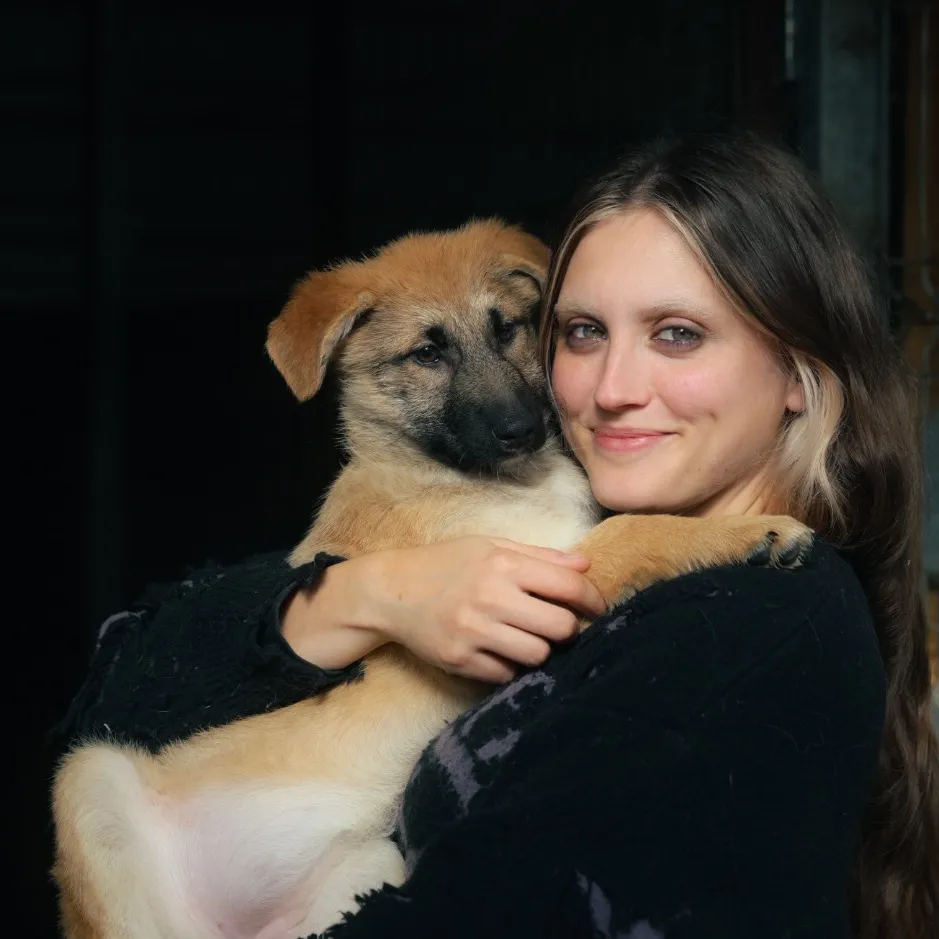 Amelia Steele | Dog Training & Behaviour