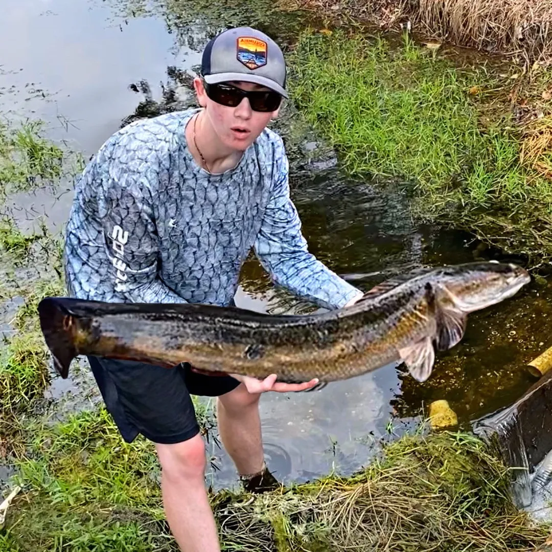 Bass Fishing Productions