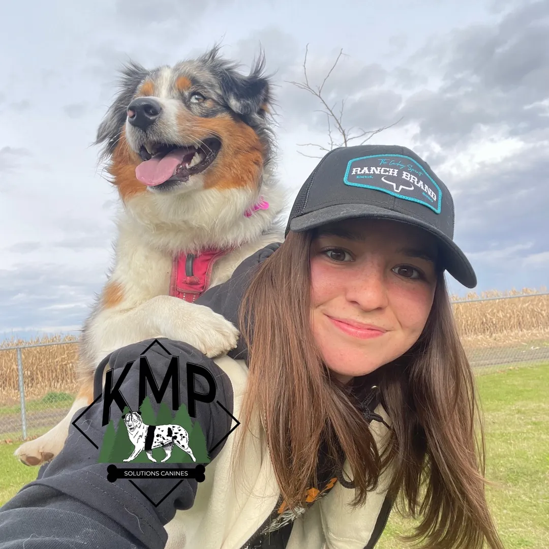 Kmp Solutions Canines