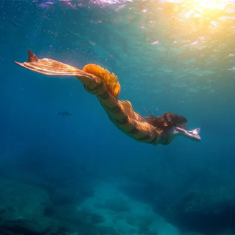 Haley Mermaid