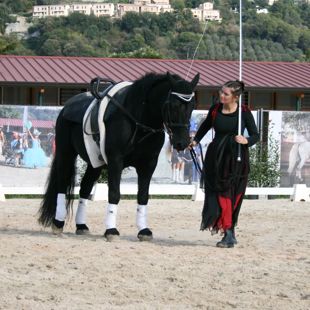Hap'Pie Equit'