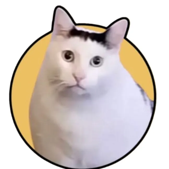 Huh Cat