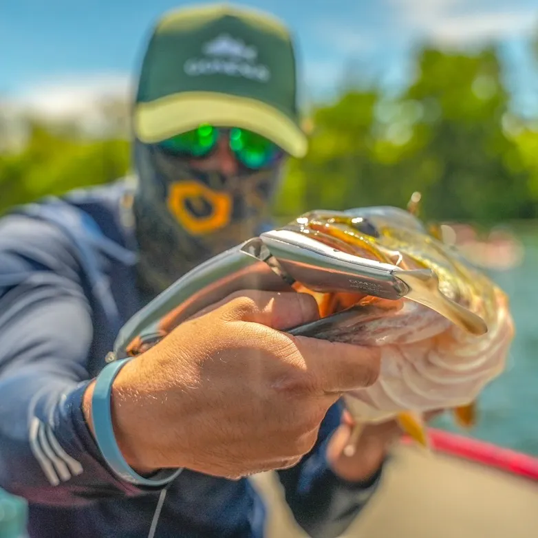 Trk Fishing