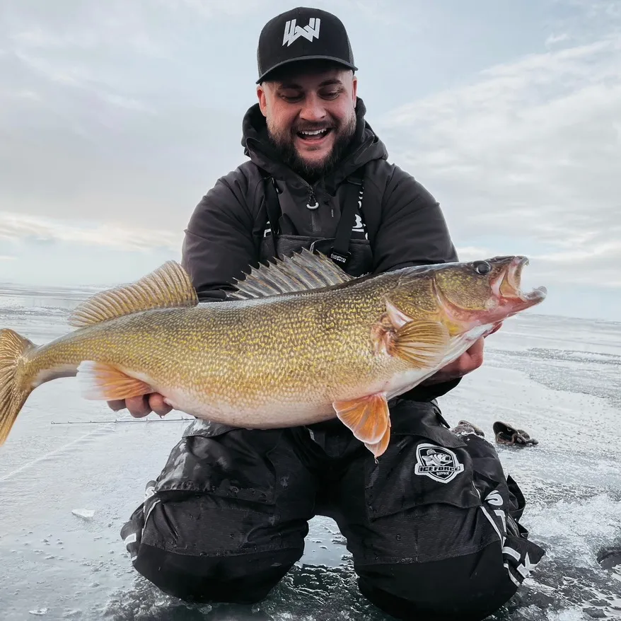 Amped Up Angling