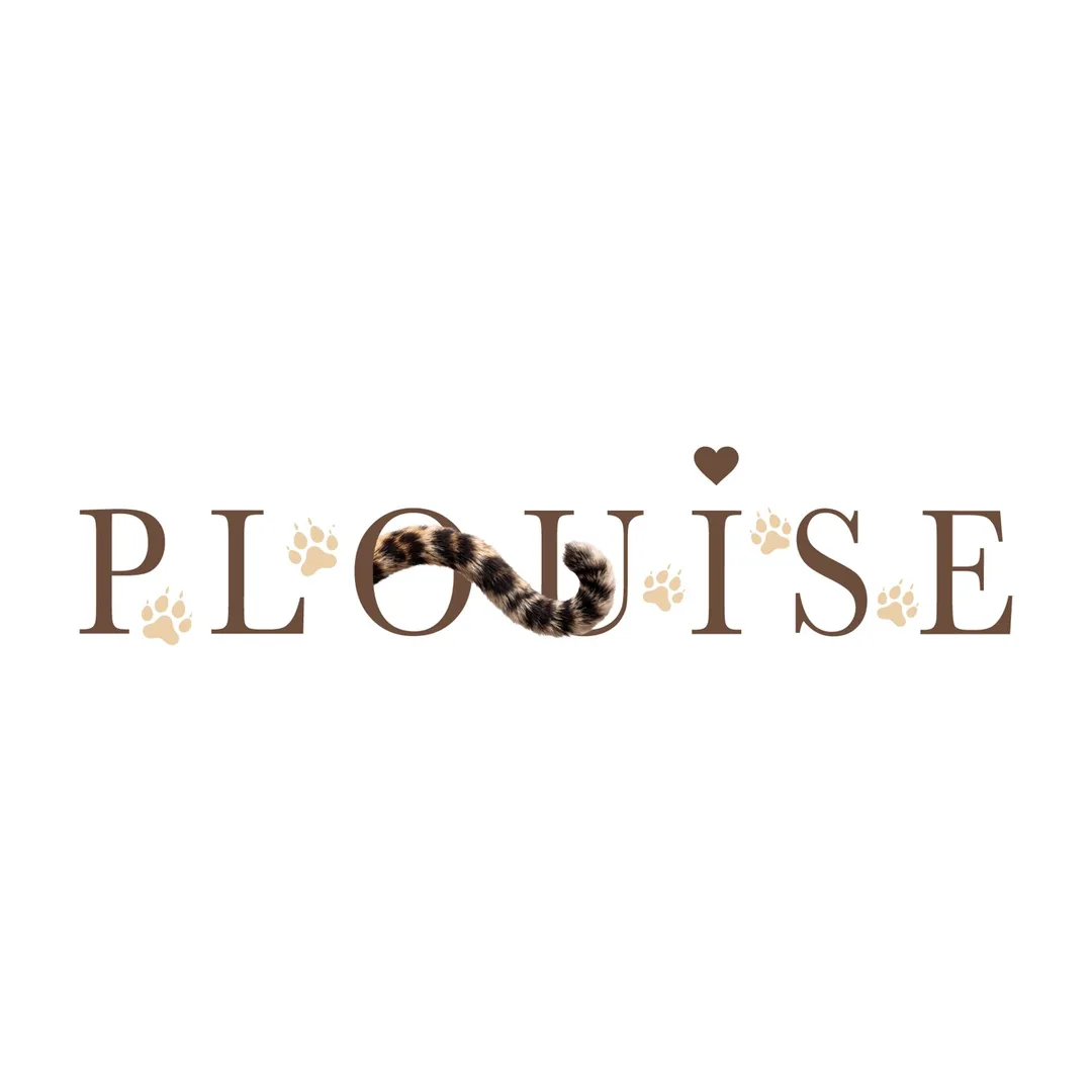 Plouise Makeup Academy