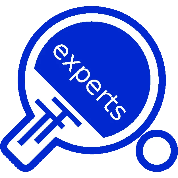 Table Tennis Professional And Experts