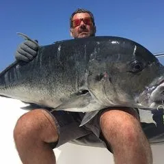 Zambo