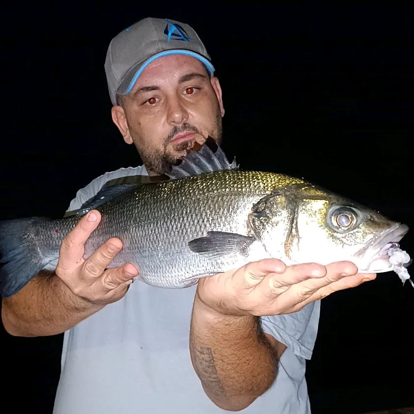 Surf Casting Nel Golfo