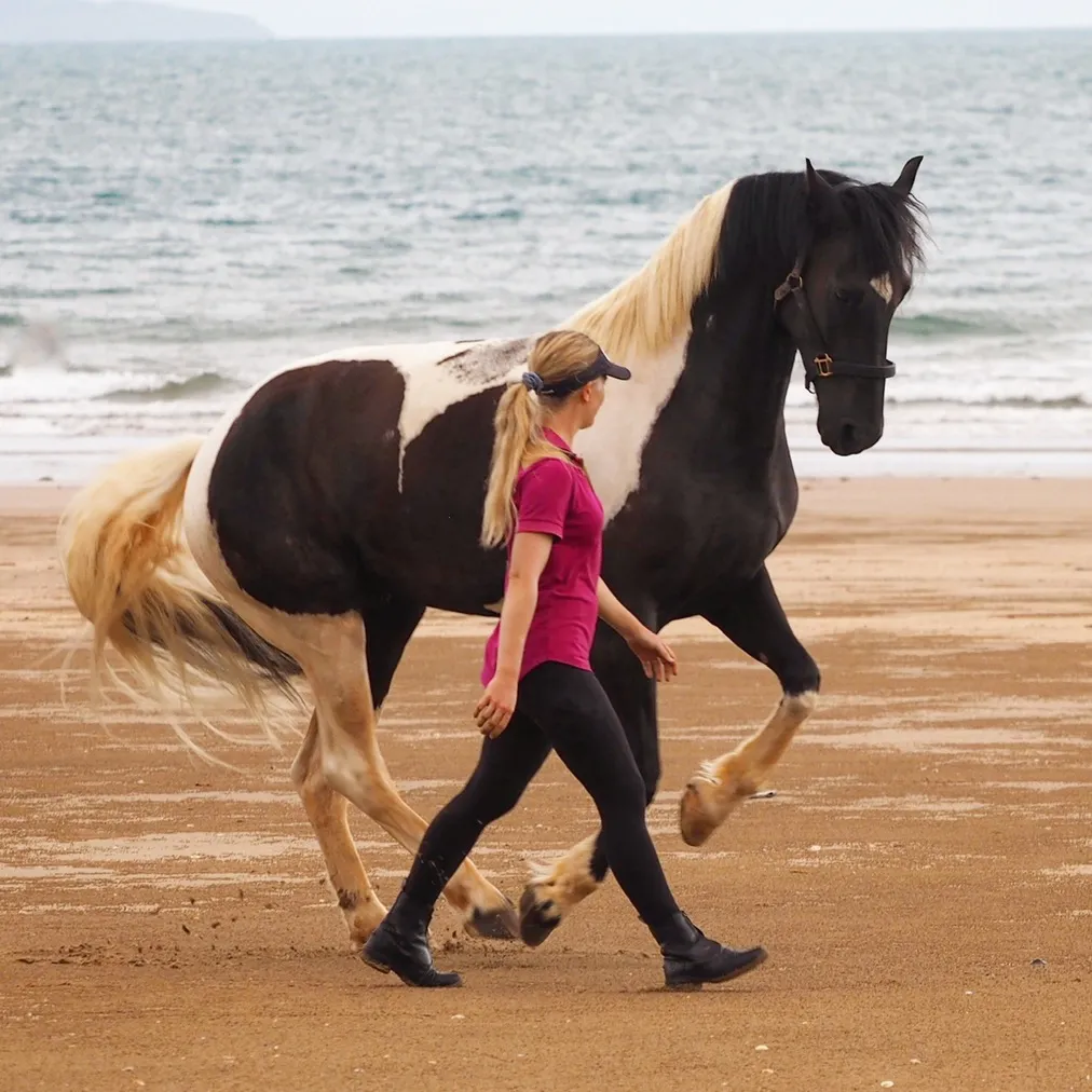 Dr Nadine Lindblom | Equine Connection Academy