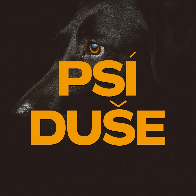 Psí Duše