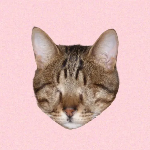 Blind Cat Dmitri