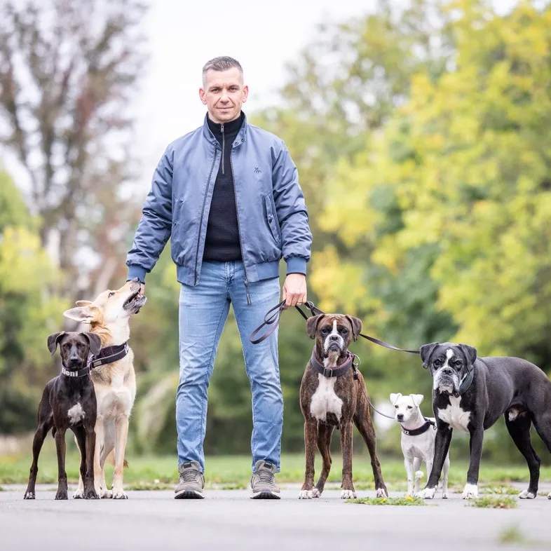 Hunde besser verstehen