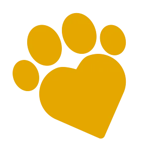 Consejos Para Mascotas