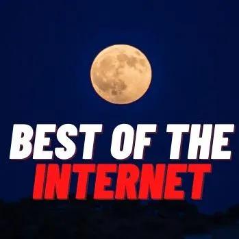 Best Of The Internet