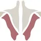 Institute Of Human Anatomy