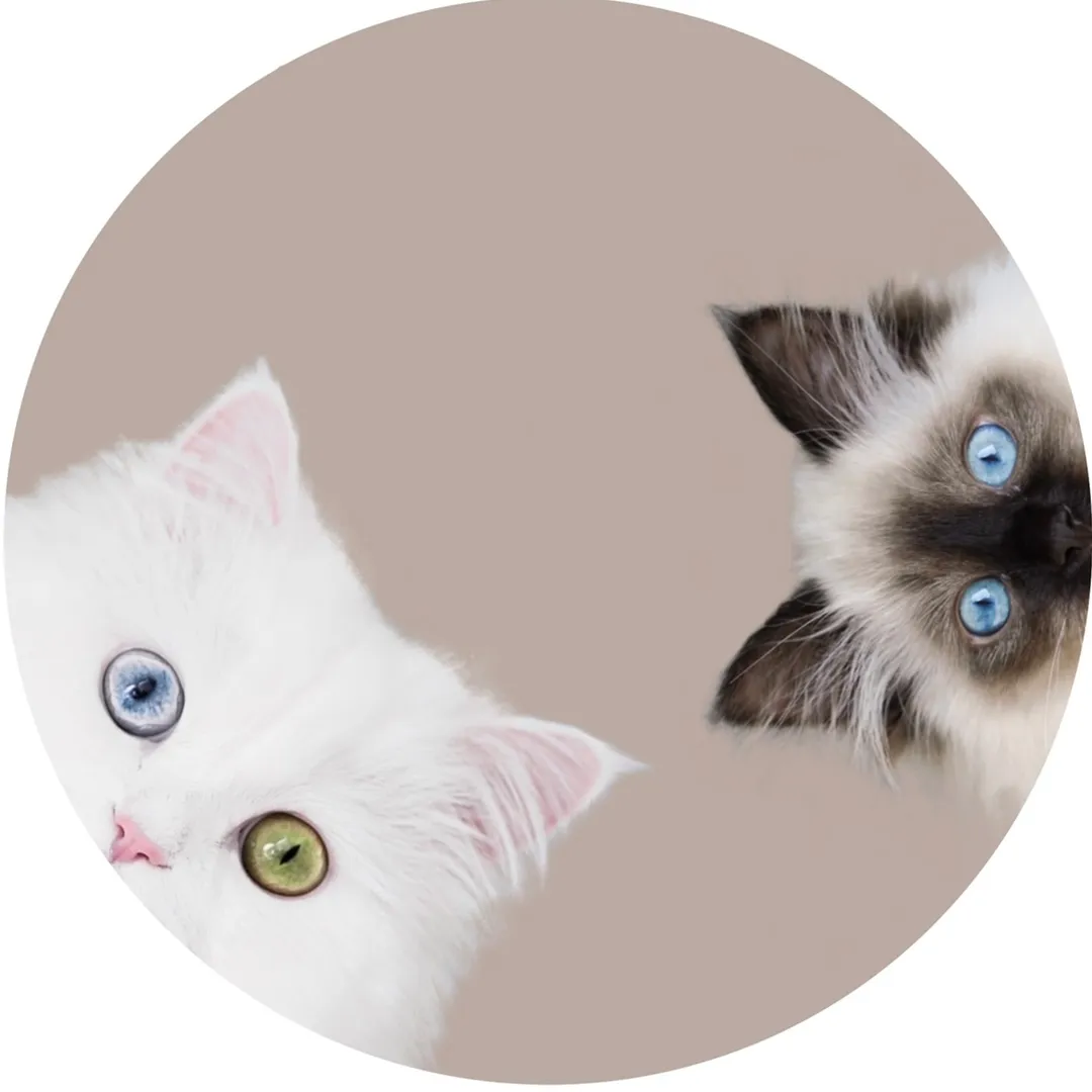 mmeowmmia