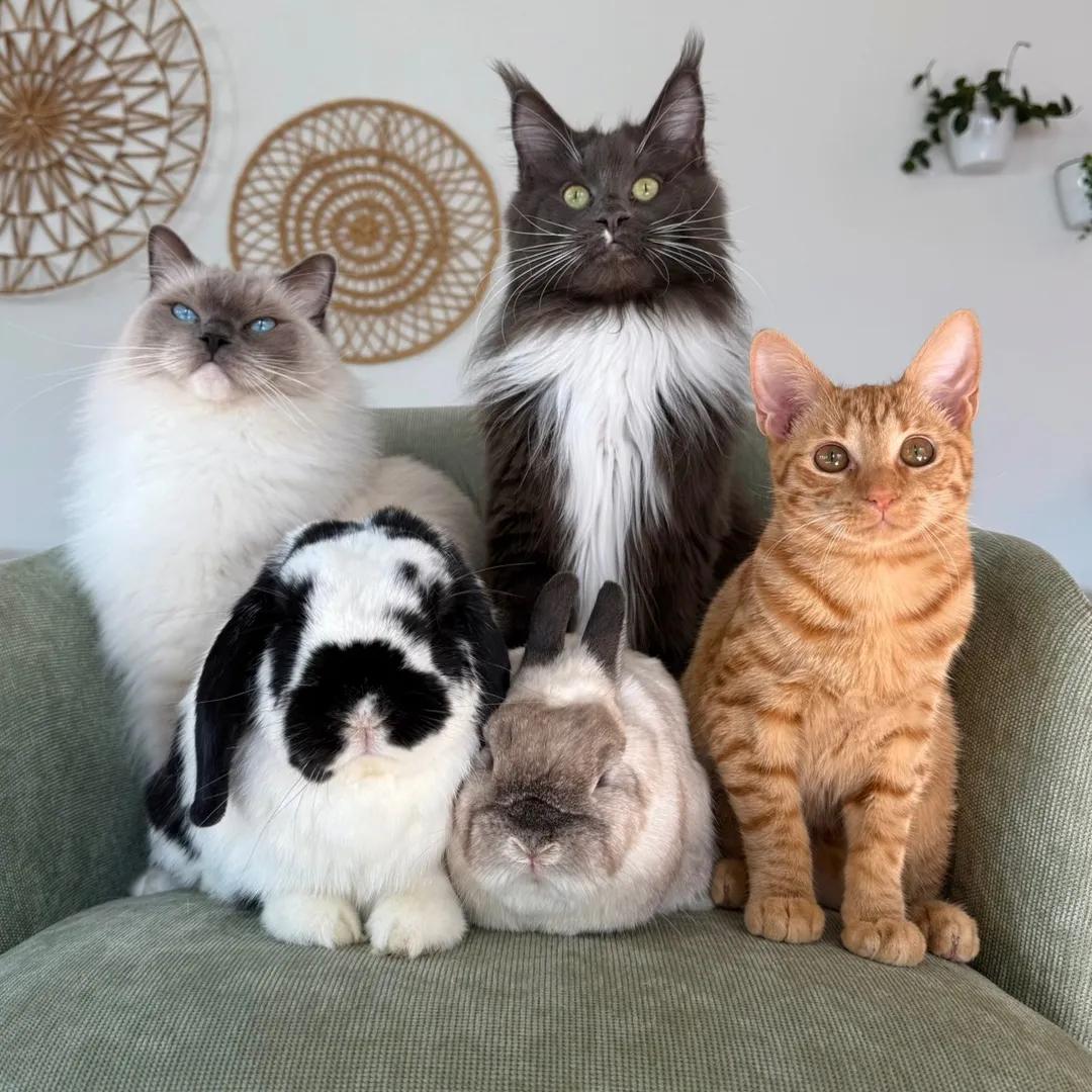 Denzel, Leo, Sully, Tink, And Lexi 🤍