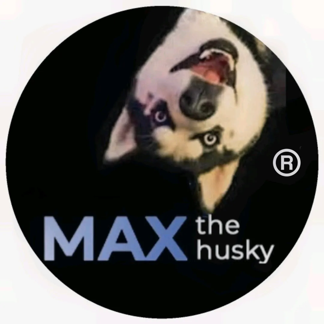 Max The Husky