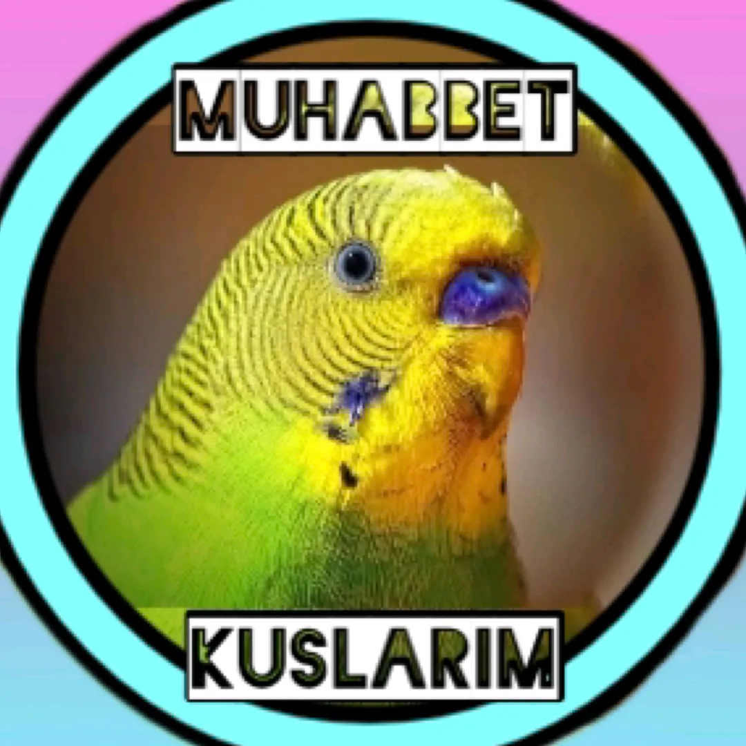 Muhabbet Kuşlarım