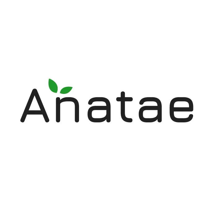 Anatae | Thé Matcha Bio Et Autres Thés Japonais D’exception 🇯🇵