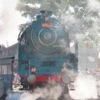 Martinovy vlaky?(trains)