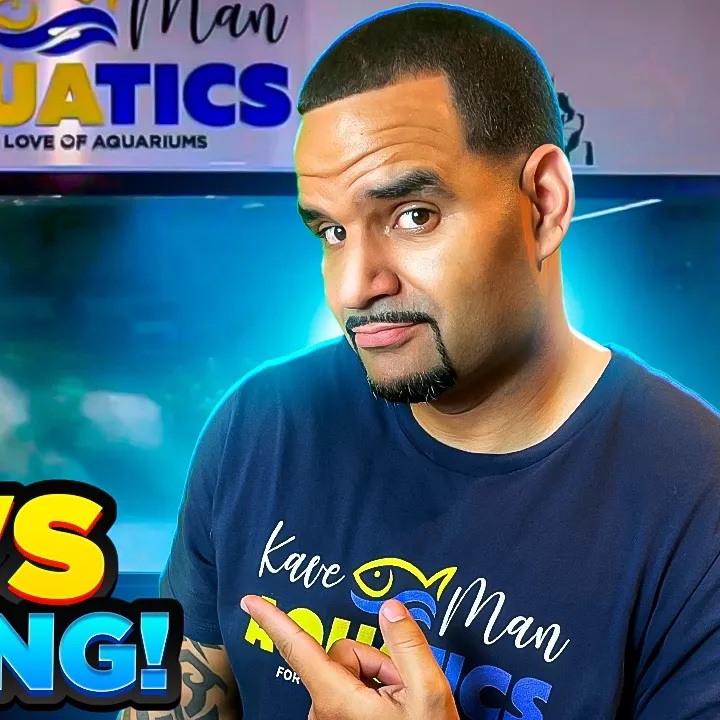 KaveMan Aquatics