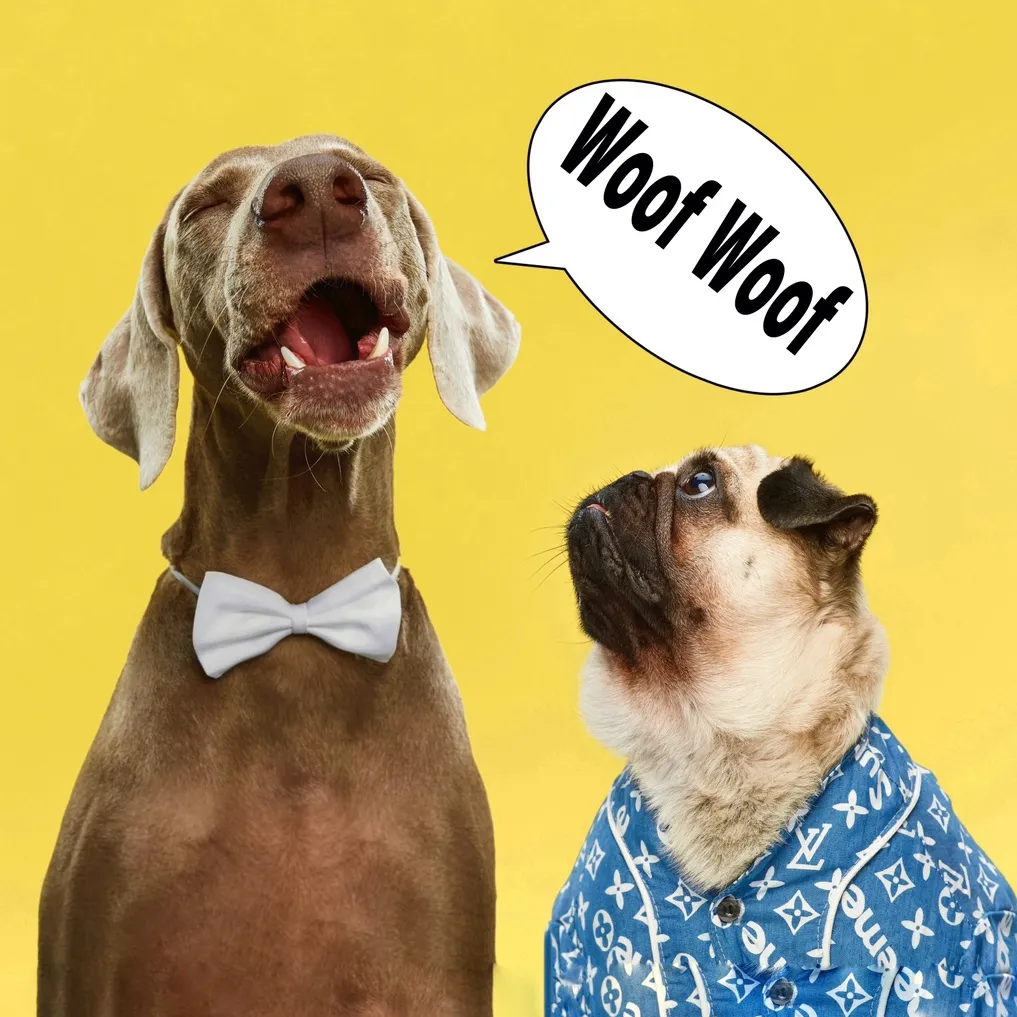 HOOOTDOGS