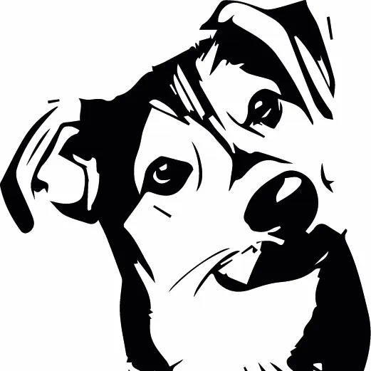 Fetcher Dog