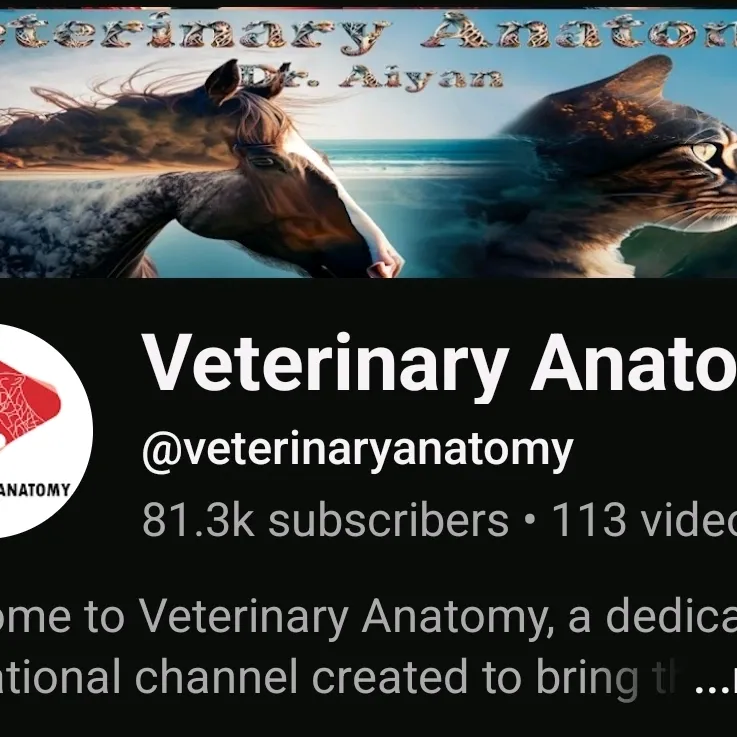 Veterinary Anatomy