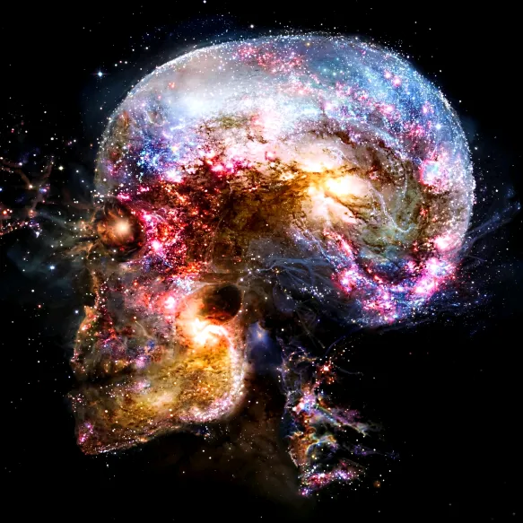 CuriosityON TikTok