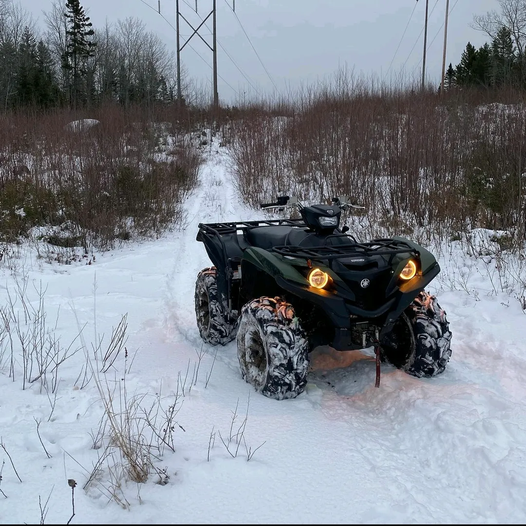 Northern Mud Brothers