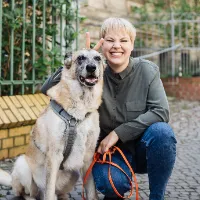 Dog It Right® | Online Hundeschule