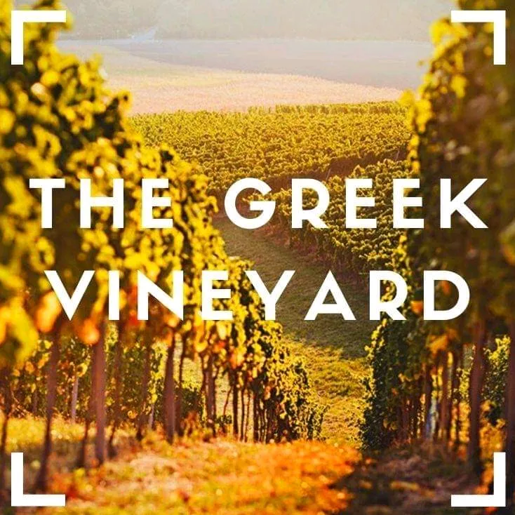 The Greek Vineyard