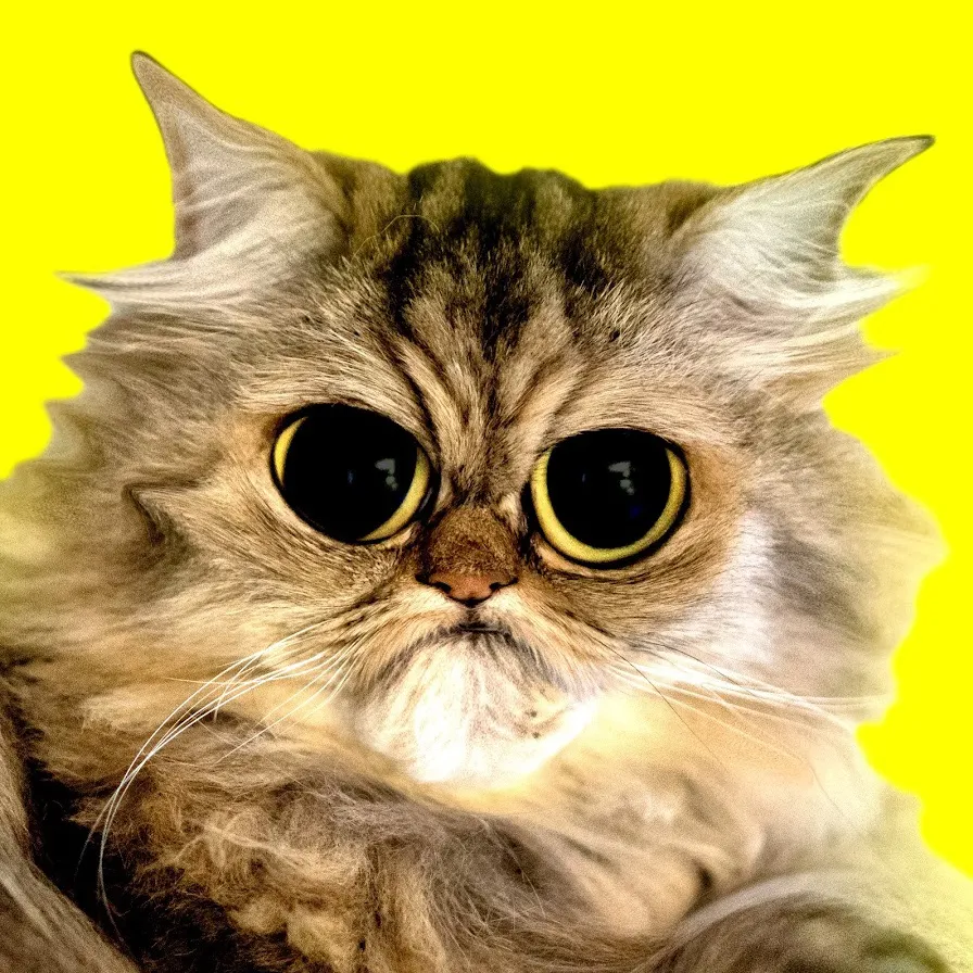 CATS TV - Game For Cats