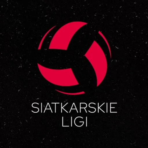 Siatkarskie Ligi