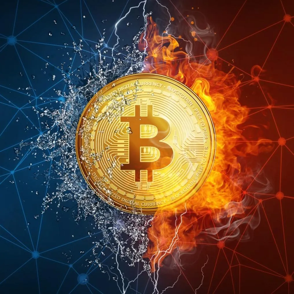 Elusión Fiscal | CryptoSpain ©️