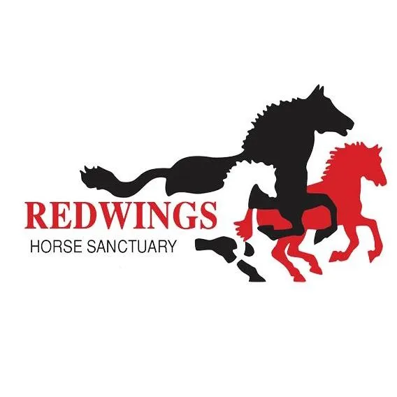 Redwings Horse Sanctuary