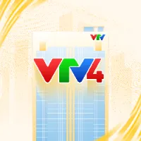 VTV World