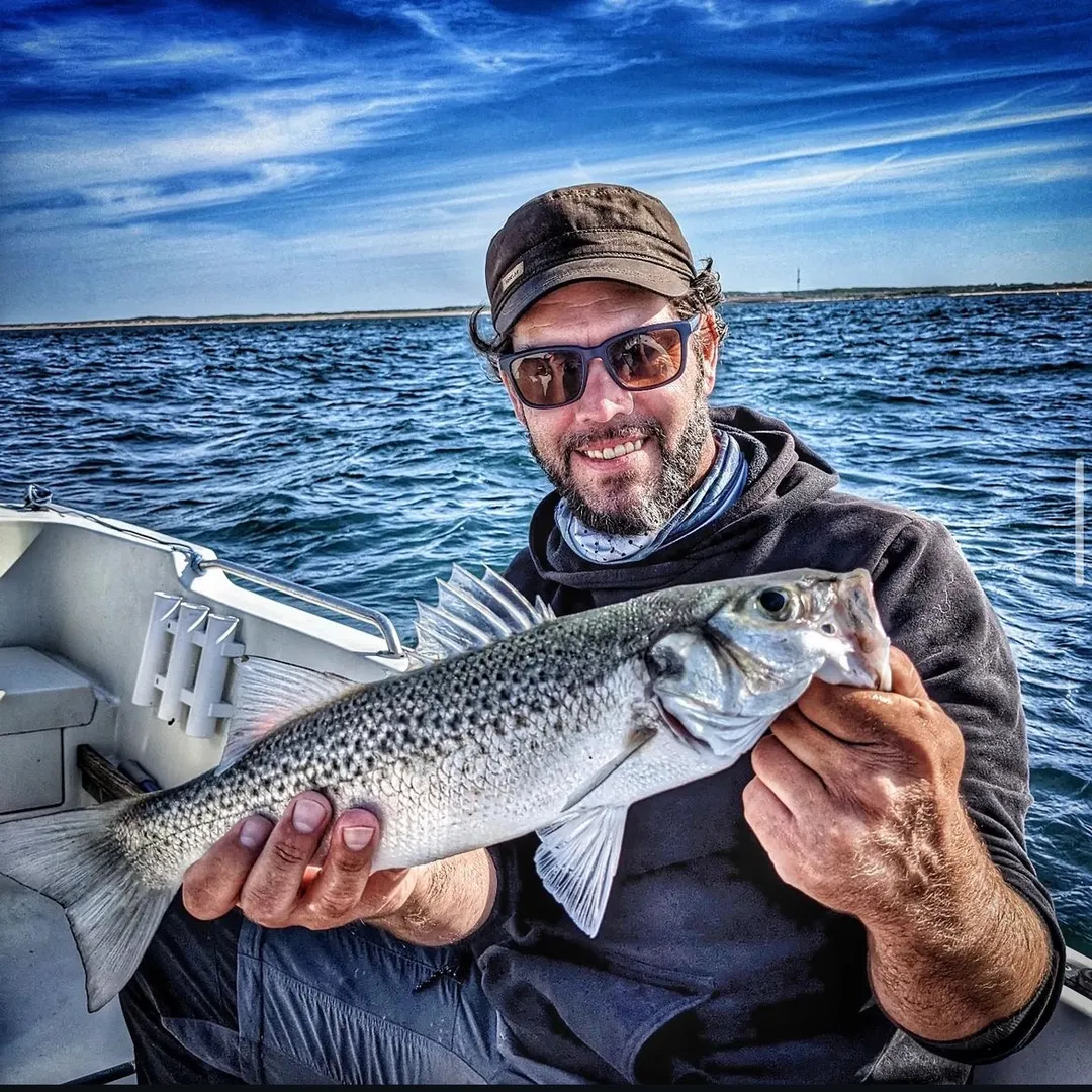 Pêche Facile En Bord De Mer