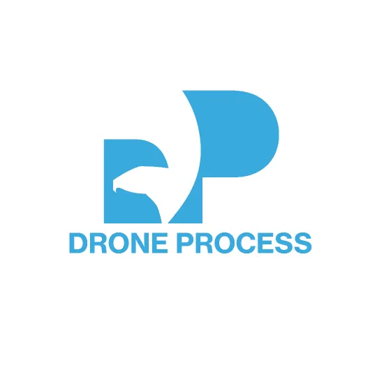 DRONE PROCESS
