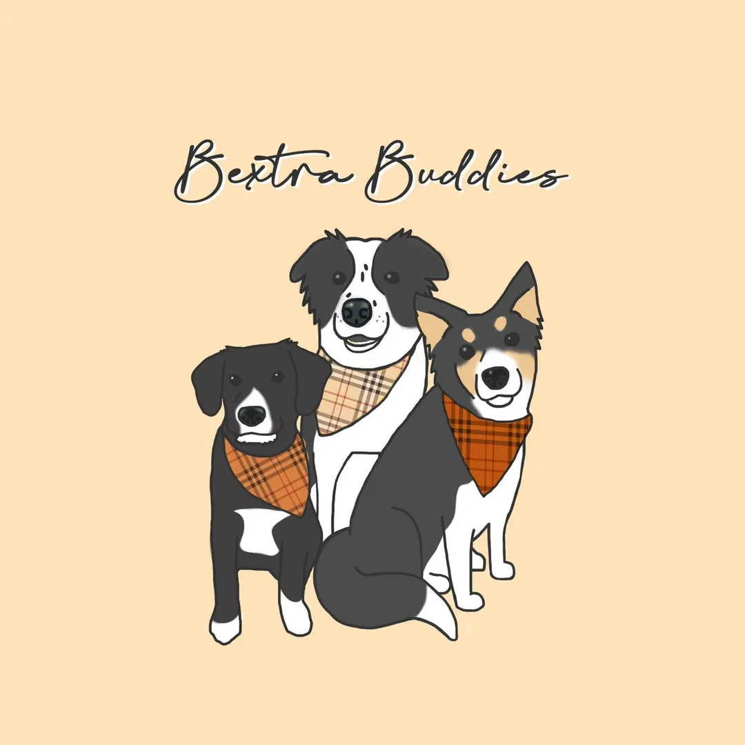 Harley & Mila | Border Collie And Aussie Duo