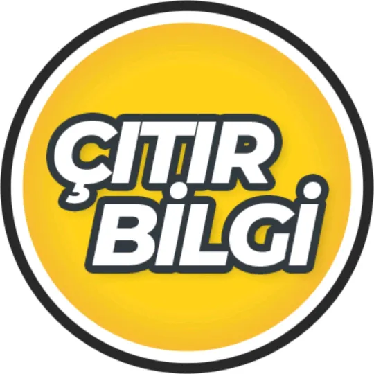 Çıtır Bilgi