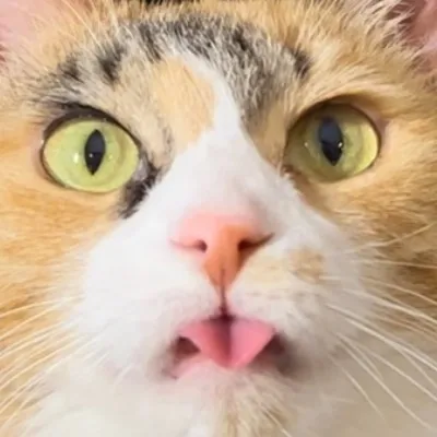 Ada