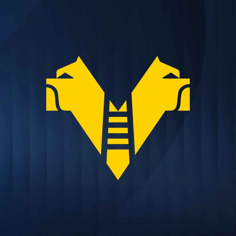 Hellas Verona FC