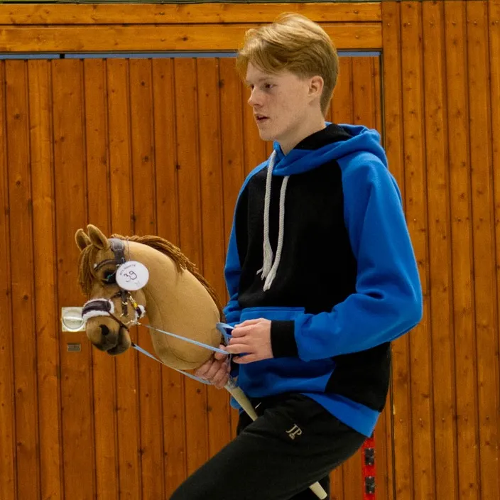 Pferde Max